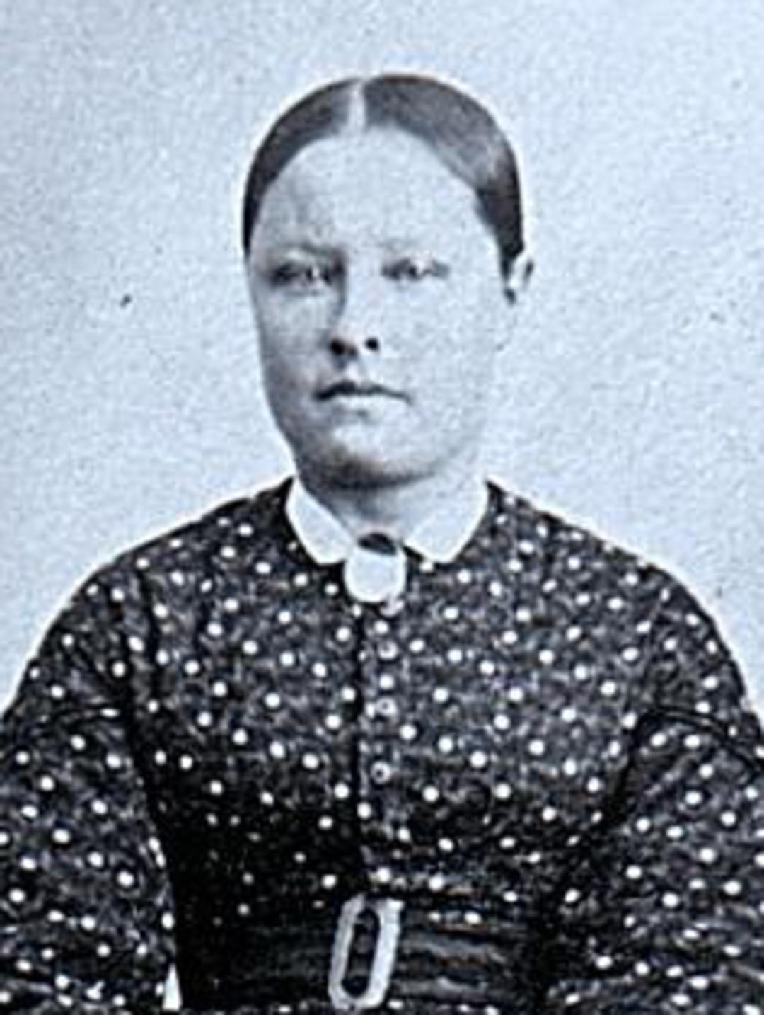 Elvira Eliza Hendrickson (1850 - 1926) Profile